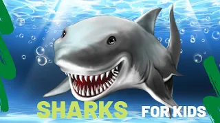 Lesson On Sharks For Kids | Shark Species, Diet, Role in Ecosystem | Sharks For Kids Facts