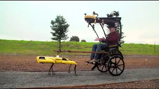 Highlight of Adam Savage's Spot Robot Rickshaw Carriage!