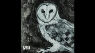 Cosmo Sheldrake - Evening Chorus