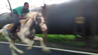 Horse riding Wajid naik