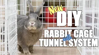 NEW DIY RABBIT CAGE WITH TUNNEL SYSTEM