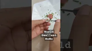 World Smallest Momo #shortsvideo #viral #viralreels #viralshorts #viralvideo #momos