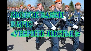 Звонок в МЧС- уберите листья. A call to the Ministry of Emergency Situations - remove the leaves.