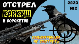 Отстрел Каркуш и Сорокетов. Crow Hunting 2023-№2. Кроухантинг. Jack Hunter.