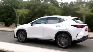 2022 Lexus NX 250 is a Small SUV-interior and exterior