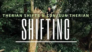 What is Shifting? | Therian Shifts | Contherian & Suntherian