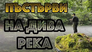 Риболов НА ПЪСТЪРВА на ДИВА РЕКА в ГОРАТА.