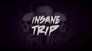 SoulFactor   Insane Trip (Official Music Video)