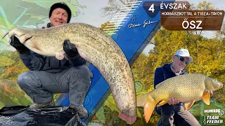 Wild Water Adventures part 49. - Fishing on Lake Tisza in 4 Seasons – AUTUMN
