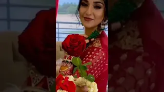 Wow falak Shabbir share love with Sarah Khan❤️/Whatsapp status/ Meri Zindagi hai tu🌹❤️