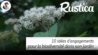 10 idées pour la biodiversité au jardin