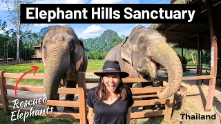 HANGING WITH RESCUED ELEPHANTS IN THAILAND!!! Elephant Hills Sanctuary in Khao Sok National Park