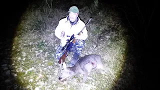 Field Test Hunting Roe Deer and Wild Boar with Contessa Detachable Mounts Steel Insert System