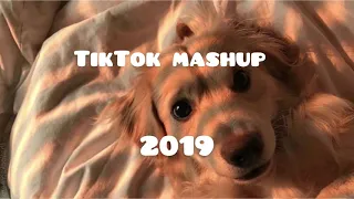 old TikTok mashup 2019 ( not clean )