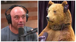 The Most Horrifying Bear Attacks In JRE History