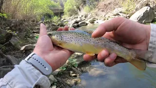 Primul PESCUIT din 2024, după PĂSTRĂV, la TENKARA[first trout fishing in 2024 with tenkara rod]