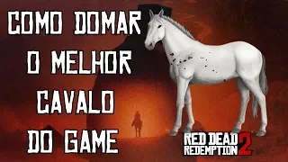 Red dead redemption 2 como domar o puro sangue arabe