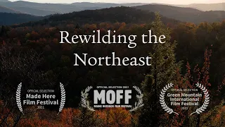 Rewilding the Northeast (full)