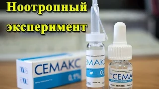 Ноотропный эксперимент с СЕМАКСОМ. Стал ли я умнее?