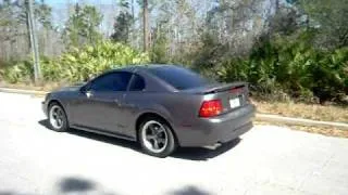 Mustang GT insane burnout!!!!!!!