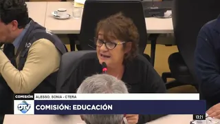 Presentación de Sonia Alesso en la Comisión de Educación de la Cámara de Diputados de la Nación