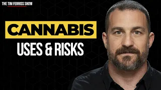Cannabis: Uses and Risks | Dr. Andrew Huberman | The Tim Ferriss Show