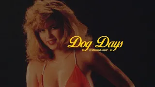 Argonaut & Wasp - Dog Days (OFFICIAL MUSIC VIDEO)