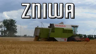 🔥ROZPOCZĘCIE ŻNIW 2022!🔥(NIE) PIERWSI WE WSI!🔥CLAAS DOMINATOR 98SL W AKCJI!🔥 DWA ODWOZY!🔥AGROvlogTV🔥