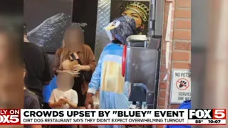 Huge Bluey Drama