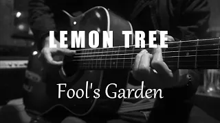 Lemon Tree - Fool's Garden (Acoustic Karaoke)