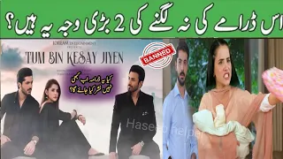 Why Tum Bin Kesay Jiyen Episode 29 Not Telecast On ARY Digital | Tum Bin Kesay Jiyen  Episode 29