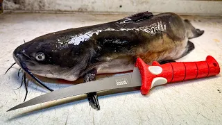 The ONLY Catfish Fillet Tutorial You'll Ever Need!