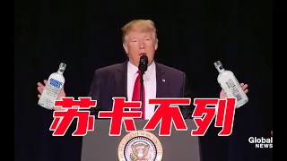 Donald Trump Sings Сука блядь 苏卡不列