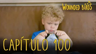 Wounded Birds (Yaralı Kuşlar) | Capítulo 100 en Español