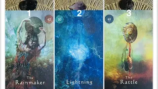 What Is Your Earth Medicine?🌎⚕️| Pick A Pile Tarot Reading (TIMELESS)