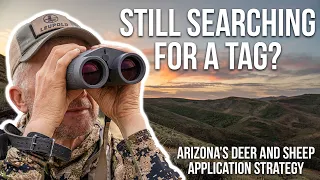 How to Apply for Arizona Deer and Sheep Tags | 2024 Arizona Deer and Sheep Application Strategy