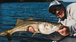 Guidelines - Charlotte Harbor Snook and Redfish