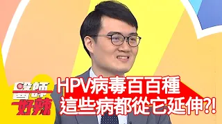 HPV病毒百百種，這些病都從「它」延伸而來？！【#醫師好辣】20201203 part3 EP1061 洪素卿 陳保仁