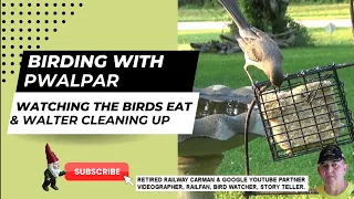 Birding with Pwalpar 5-06-2024