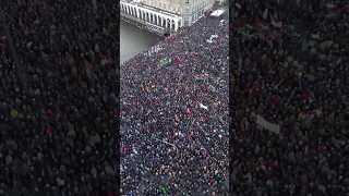 Biggest Anti-AfD Protest Hits Hamburg