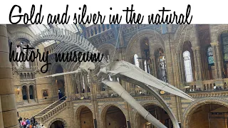 See gold and silver in the natural history museum!