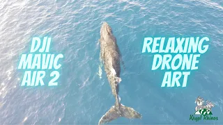 Relaxing Cinematic Drone Art DJI Mavic Air 2