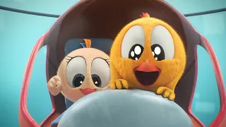 Where's Chicky? Funny Chicky 2022 🚁 CHICKY HELICOPTER PILOT 🚁 Chicky Cartoon in English for Kids