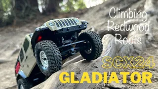 Axial SCX24 Gladiator Trailing and Climbing Redwood Roots