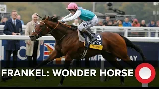 Frankel: Wonder Horse