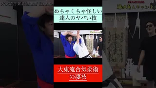 【TikTokで大炎上】達人の凄技がヤバすぎた【大東流合気柔術】