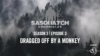 Sasquatch Chronicles ft. Les Stroud | Season 3 | Episode 3 | Dragged Off By A Monkey