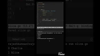 Print all values in a slice #golang  #slice #array #shorts