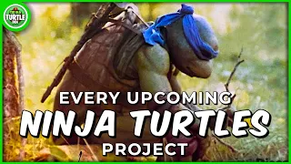 Every Upcoming Teenage Mutant Ninja Turtles Project!