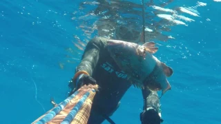 Spearfishing deep groupers- pesca in apnea cernie profonde 2017